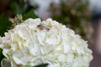 335-Alissa-Jared-vineyard-wedding-8700
