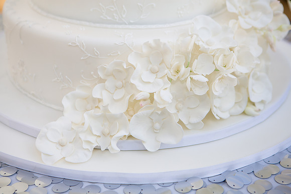 107-sierra-andre-knot-wedding-fucci-1419