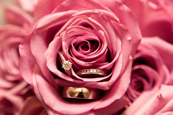 NadiaOmarWedding-4581