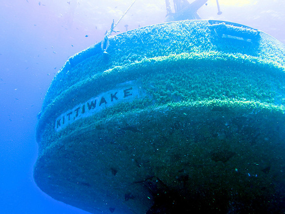 0088caymans-054