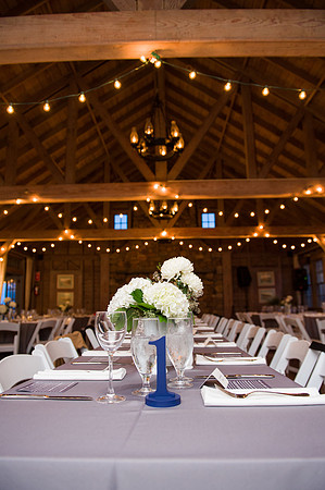 326-Alissa-Jared-vineyard-wedding-4371