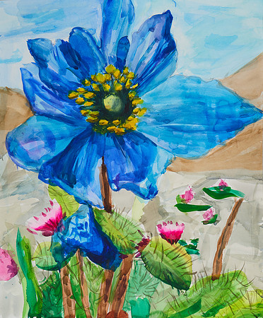 Art With Catherine58925