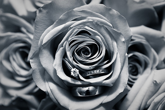 NadiaOmarWedding-4582