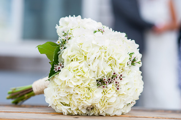 108-Alissa-Jared-vineyard-wedding-4082