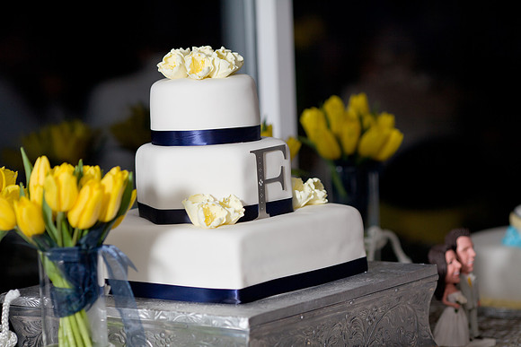 0887courtneynatewedding8397