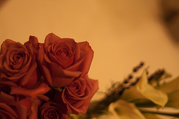 NadiaOmarWedding-0409