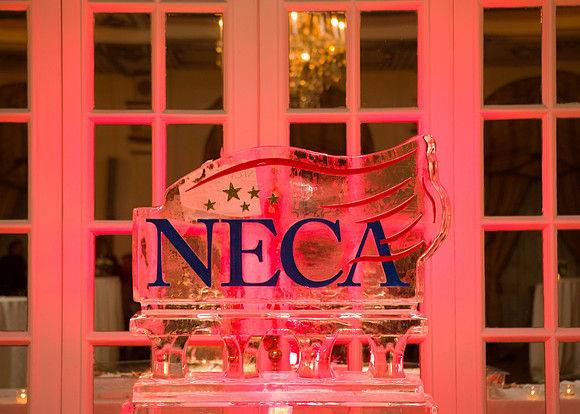 NECA-2019-224