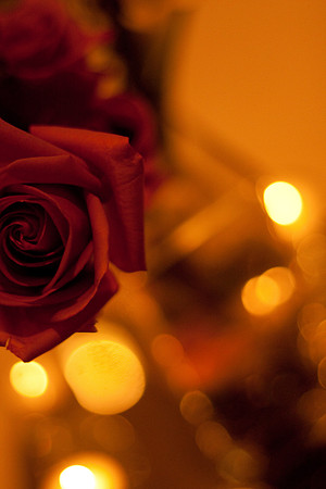 NadiaOmarWedding-0410