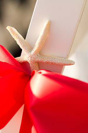 0162-KarenErinWedding4442