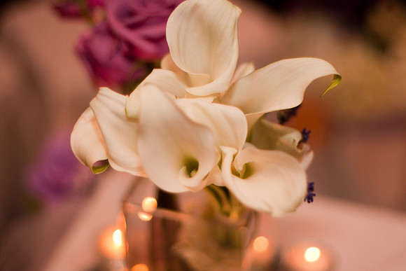 NadiaOmarWedding-0420