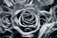 NadiaOmarWedding-4588-2