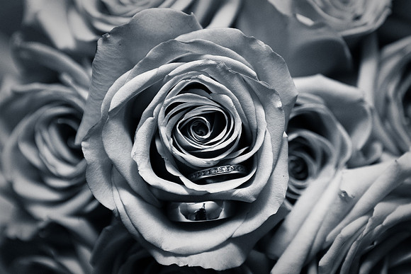 NadiaOmarWedding-4588-2