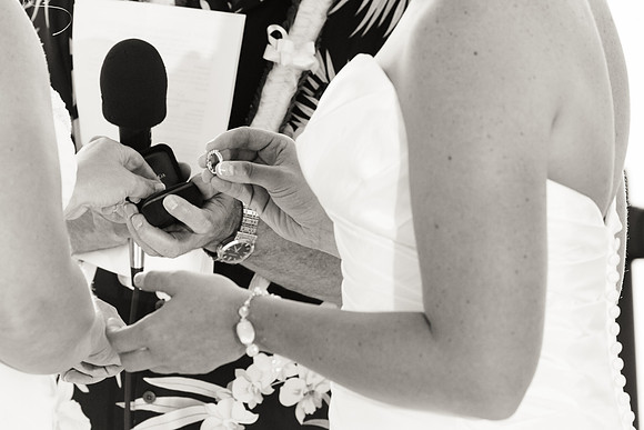 0223-KarenErinWedding8746
